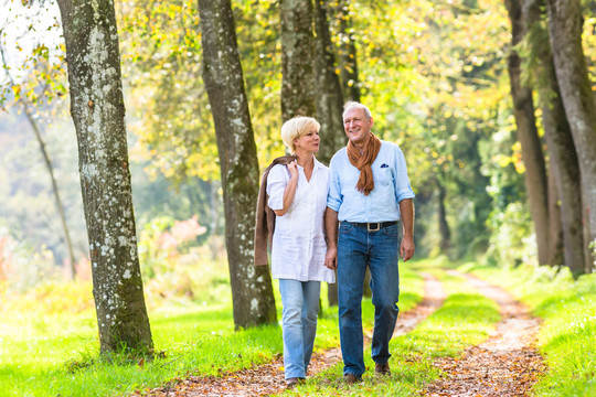 Wandelen in Den Bosch 